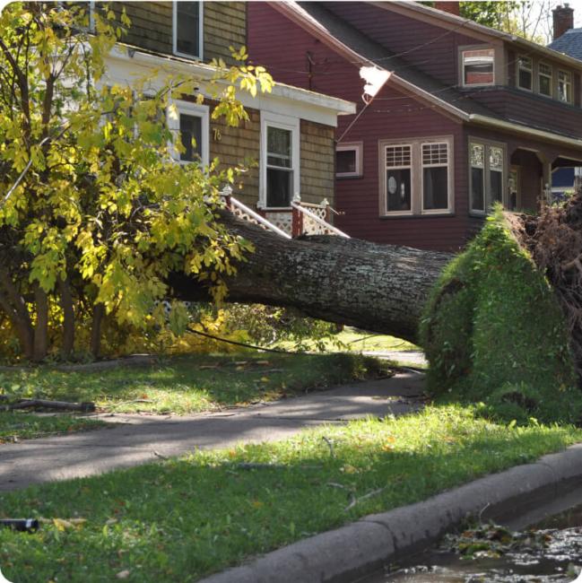 A red house with a severely damaged by a fallen tree.
