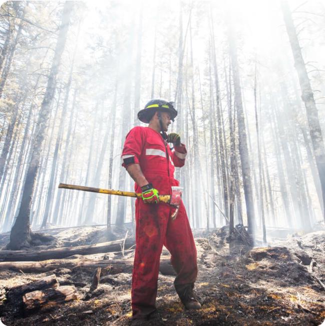A firefighter in a red suit and hard hat holds a tool in a smoky, burnt forest.