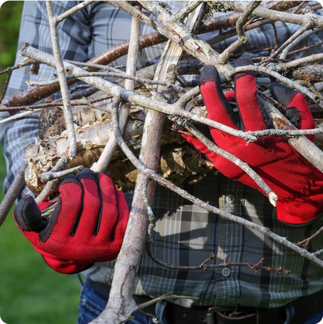 A person wearing red work gloves holds an armful of cut tree branches.