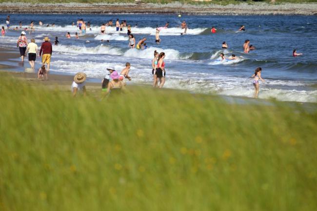swimmers at a beach in the background, with grass in the foreground