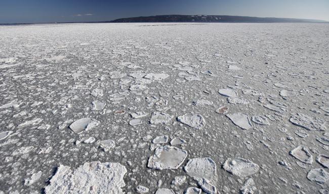 Ice covering St Ann's Bay